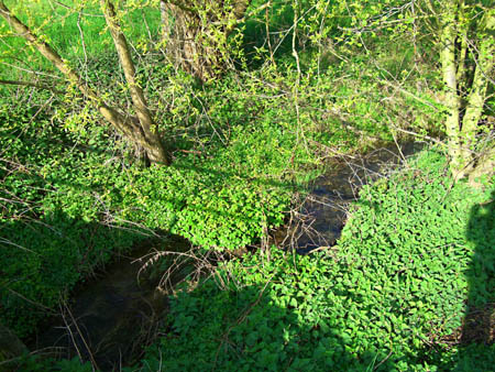 Bachlauf beim Bauer Kuckelke