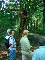 Geologische Wanderung 2007