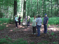 Geologische Wanderung 2007