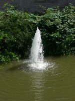 Wasserspiele im See