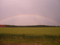 Regenbogen ber den Grvingholz