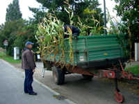 Schnatgang 2009