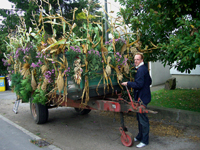 Schnatgang 2009