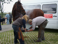 Sommerfest 2009