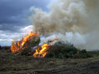 Osterfeuer 2010