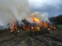 Osterfeuer 2010