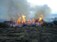 Osterfeuer 2010