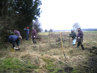 Osterwiese reinigen 2010