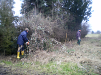 Osterwiese reinigen 2010