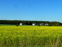 Schnatgang 2011