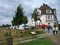 Sommerfest 2013